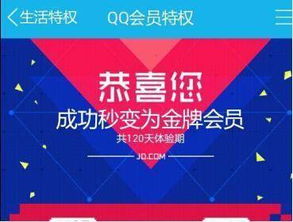 白条取现强开 白条取现强开攻略，解锁你的现金流动新篇章