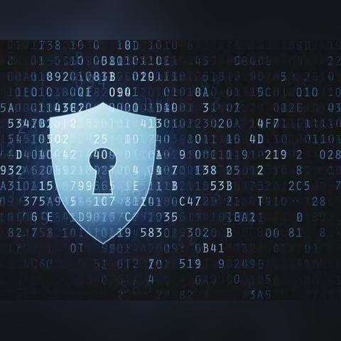 查开房网站调查 查开房网站调查报告