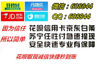 白条付款提现到哪里 白条付款提现到哪里