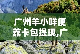 羊小咩便荔卡收款提现怎么提 羊小咩便荔卡收款提现全攻略，轻松操作，快速到账！