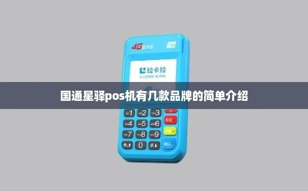国通星驿POS机申请全攻略