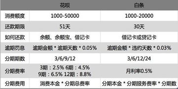 白条取现2000利息 白条取现2000利息分析