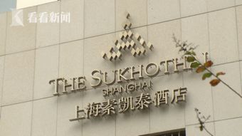 高级酒店查客人记录 高级酒店查客人记录，深度分析与案例展示