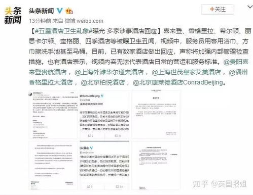 高级酒店查客人记录 高级酒店查客人记录，深度分析与案例展示