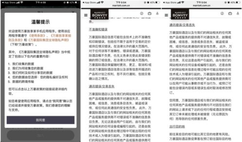 高级酒店查客人记录 高级酒店查客人记录，深度分析与案例展示