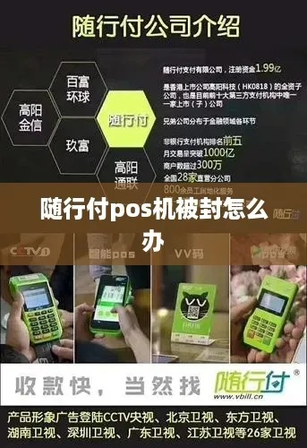 随行付POS机申请官网使用指南