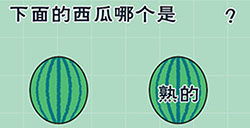 白条提现方式 白条提现方式指南