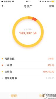 白条提现最大额度超限 白条提现最大额度超限案例分析