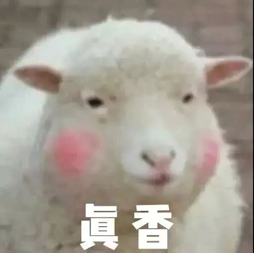 羊小咩便荔卡怎么套出来出来金 羊小咩便荔卡神秘套取金秘技