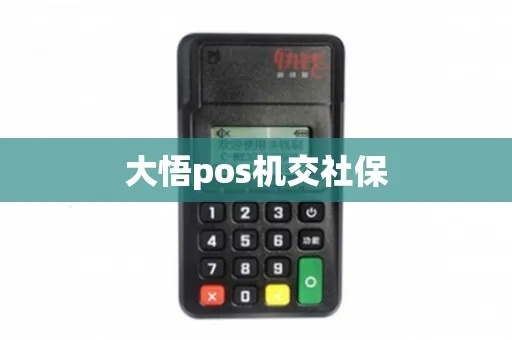 大悟县POS机申请流程详解