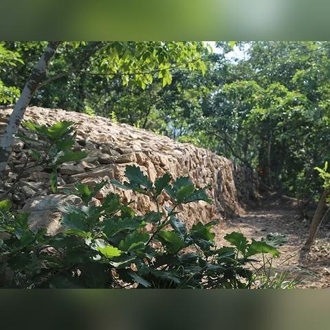 宾馆入住记录保存多久 宾馆入住记录，保存多久才合适？