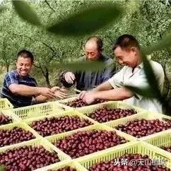 怎么盗取他人微信聊天記录 揭秘微信聊天记录盗取黑幕，如何防范与应对