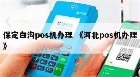白沟办理pos机，轻松掌握收款新技能