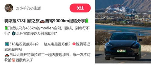 车主羊小咩便荔卡能套出来么 车主羊小咩便荔卡套取经历分享