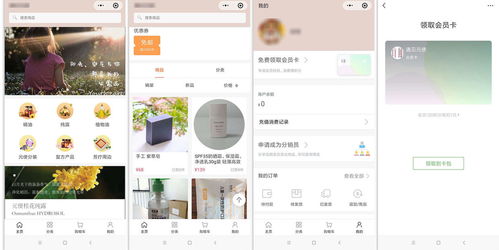 如何申请顺德市POS机，一站式指南与案例分析