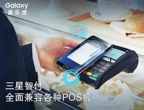 POS机办理全攻略，如何选择适合您的支付解决方案？