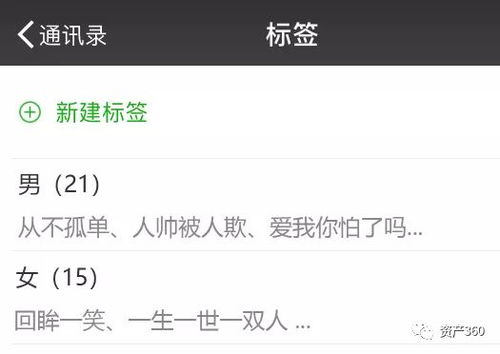 怎么偷看我老公微信聊天记录 掌握秘密，如何偷偷查看老公微信聊天记录