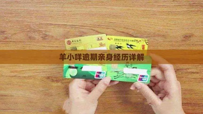 羊小咩便荔卡做套出来秒到 羊小咩便荔卡秒到案例分享