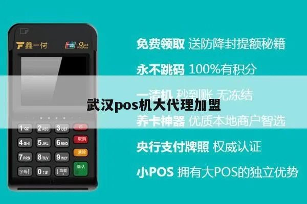 武汉个人POS机申请流程与案例解析