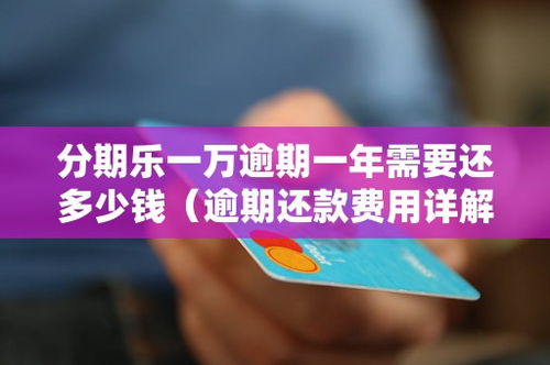 临沂分期乐套出来方法 临沂分期乐套现攻略全解析