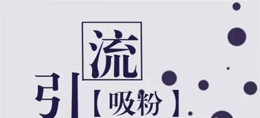 分期乐套出来套 分期乐套现攻略—轻松获取资金的实用技巧