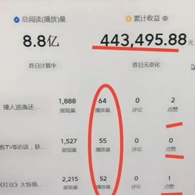 抖音月付恶意套出来 抖音月付恶意套出来，揭秘背后的套路与案例分析