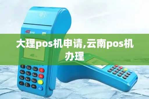 大理市POS机申请流程详解