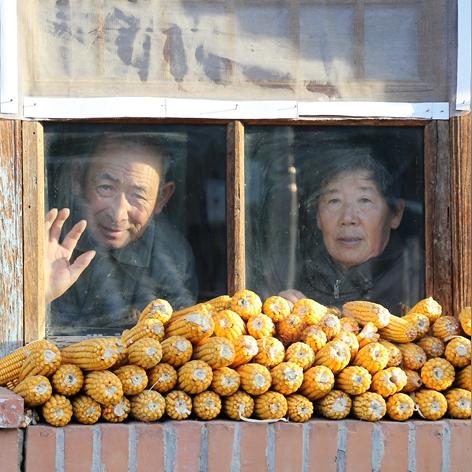 申请POS机年龄限制问题探讨