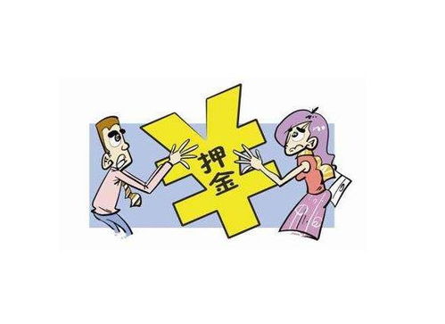 宝山区POS机申请网点介绍及案例分析