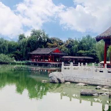 电脑IP地址怎么查酒店记录 电脑查询酒店记录，一探究竟