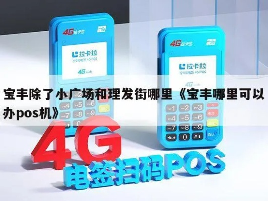 宝丰办理POS机指南