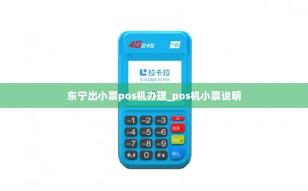 东宁县POS机申请流程详解
