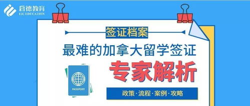 全面解析！庆云POS机办理流程与案例解读