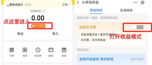 花呗提现91资讯站 花呗提现91资讯站全面指南，助你轻松管理财务