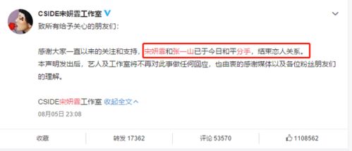 开房信息查 揭秘开房信息查询，隐私保护与法律边界