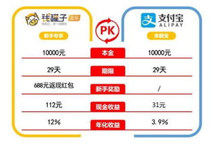 全面解析仁和POS机办理流程及优势，助您轻松管理财务