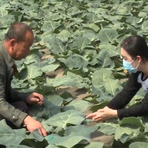 办理POS机，大庆商户必备工具，提升收银效率与资金流转速度