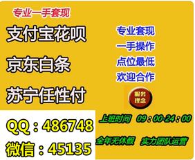 花呗去哪里购买可以提现 花呗提现全攻略，安全、高效购买与变现指南