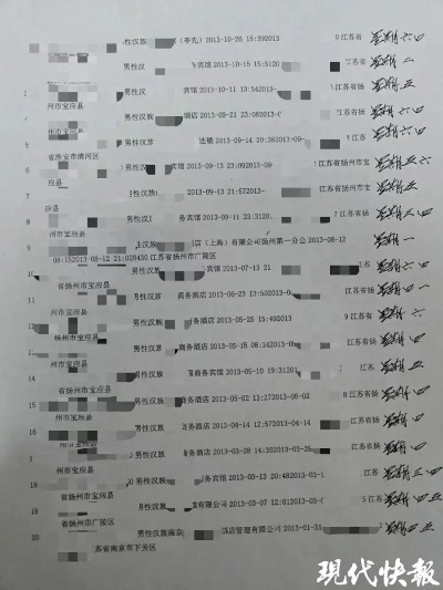 网上查开房记录网址 网上查开房记录，隐私与法律的边缘试探