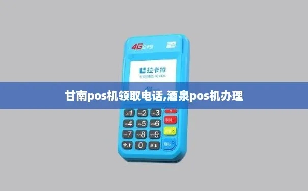 甘南县POS机申请流程详解