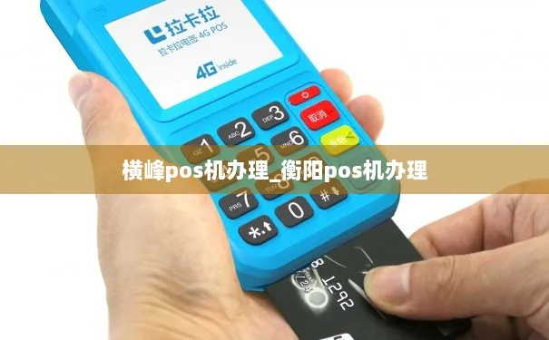 横峰县POS机申请流程详解