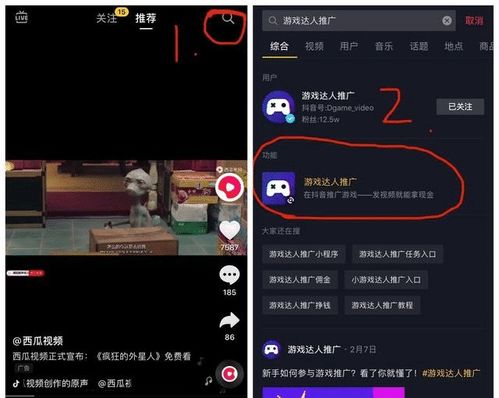 抖音月付套出来变现方式及费用 抖音月付套现攻略，揭秘变现方式及费用明细