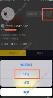 用手机抖音月付提现怎么提现 手机抖音月付提现攻略，轻松操作，快速到账