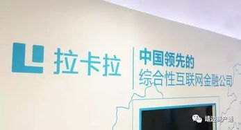 驻马店申请拉卡拉POS机，一站式服务与案例解析
