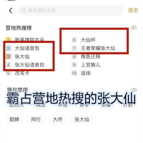 白条上号套出来是真的吗 白条上号套的真实性探讨—案例分析与用户反馈