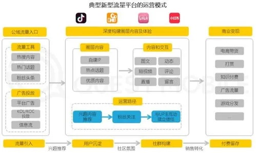 抖音月付取现分几笔 抖音月付取现，分几笔操作更便捷？详解操作流程及案例分享