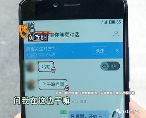 如何查看对方的陌陌聊天记录?掌握隐私权，学会安全查看陌陌聊天记录