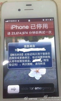 掌握财富密码，芒市POS机办理指南