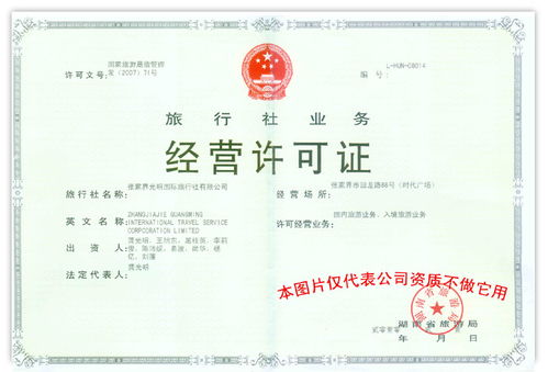 申请公司执照卖POS机，步骤详解与案例分析