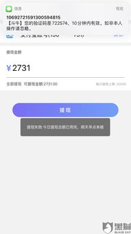 桃多多额度提现,桃多多额度条件 桃多多额度提现攻略，揭秘额度条件与提现指南
